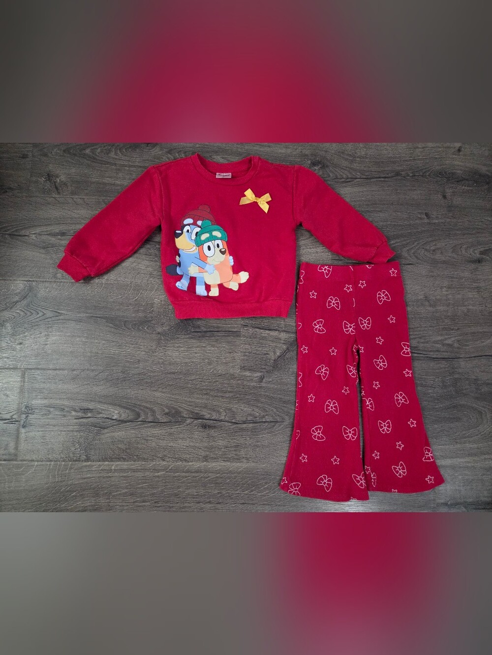 Girls Bluey & Bingo Holiday Outfit Size 3t